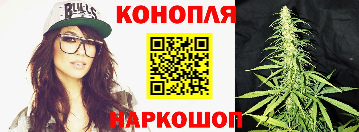 Конопля гибрид Сарапул